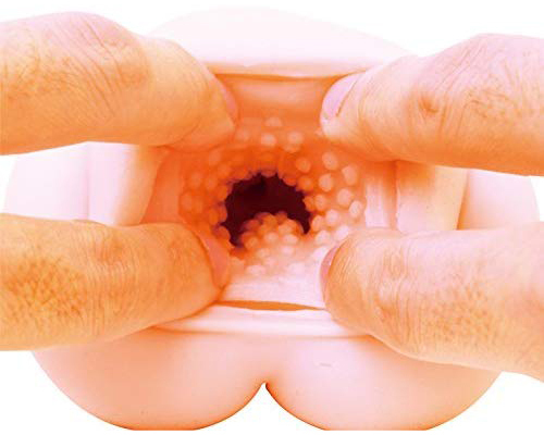 �y�P�S�U�O�~�����ʌ���z�q�{���ʁ�����l�l�P�_���聄